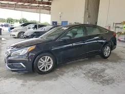 5NPE24AFXHH513135 2017 HYUNDAI SONATA