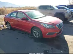 5NPE24AFXHH514723 2017 HYUNDAI SONATA