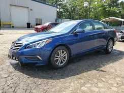 5NPE24AFXHH521431 2017 HYUNDAI SONATA