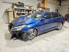5NPE24AFXHH524202 2017 HYUNDAI SONATA