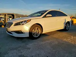 5NPE24AFXHH533854 2017 HYUNDAI SONATA