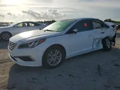 5NPE24AFXHH537466 2017 HYUNDAI SONATA