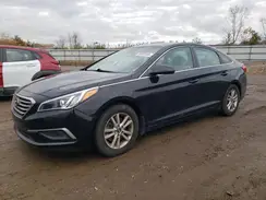 5NPE24AFXHH544384 2017 HYUNDAI SONATA