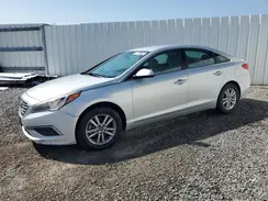 5NPE24AFXHH548693 2017 HYUNDAI SONATA