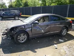 5NPE24AFXHH550282 2017 HYUNDAI SONATA