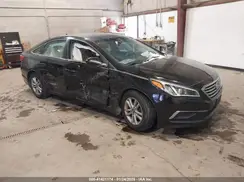 5NPE24AFXHH552596 2017 HYUNDAI SONATA