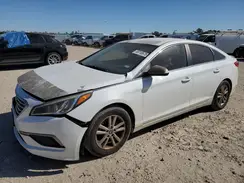 5NPE24AFXHH571603 2017 HYUNDAI SONATA