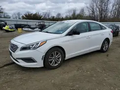 5NPE24AFXHH571763 2017 HYUNDAI SONATA