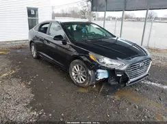 5NPE24AFXJH607084 2018 HYUNDAI SONATA