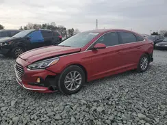5NPE24AFXKH735195 2019 HYUNDAI SONATA