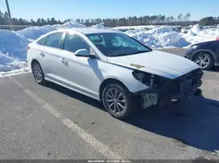 5NPE24AFXKH735262 2019 HYUNDAI SONATA