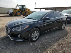 5NPE24AFXKH738629 2019 HYUNDAI SONATA