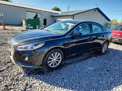 5NPE24AFXKH744074 2019 HYUNDAI SONATA