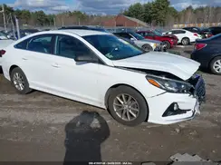 5NPE24AFXKH749128 2019 HYUNDAI SONATA