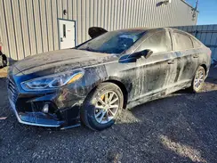 5NPE24AFXKH751493 2019 HYUNDAI SONATA