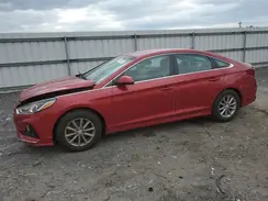 5NPE24AFXKH753454 2019 HYUNDAI SONATA