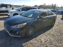 5NPE24AFXKH761912 2019 HYUNDAI SONATA