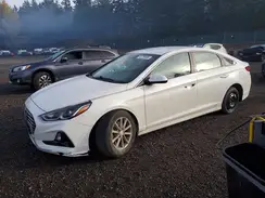 5NPE24AFXKH766057 2019 HYUNDAI SONATA