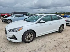 5NPE24AFXKH768164 2019 HYUNDAI SONATA
