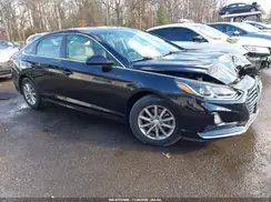 5NPE24AFXKH778323 2019 HYUNDAI SONATA