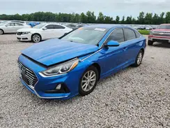 5NPE24AFXKH778516 2019 HYUNDAI SONATA
