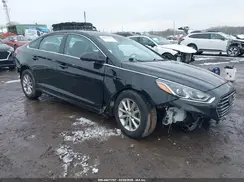 5NPE24AFXKH780055 2019 HYUNDAI SONATA