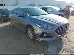 5NPE24AFXKH781433 2019 HYUNDAI SONATA