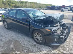 5NPE24AFXKH784445 2019 HYUNDAI SONATA