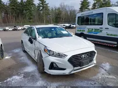 5NPE24AFXKH794554 2019 HYUNDAI SONATA