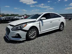 5NPE24AFXKH795686 2019 HYUNDAI SONATA