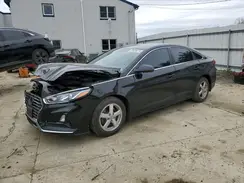 5NPE24AFXKH796756 2019 HYUNDAI SONATA