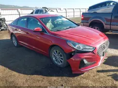 5NPE24AFXKH800577 2019 HYUNDAI SONATA