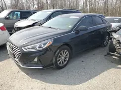 5NPE24AFXKH800823 2019 HYUNDAI SONATA