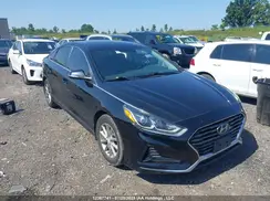 5NPE24AFXKH801230 2019 HYUNDAI SONATA