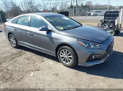 5NPE24AFXKH802068 2019 HYUNDAI SONATA