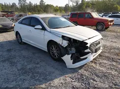 5NPE24AFXKH803057 2019 HYUNDAI SONATA