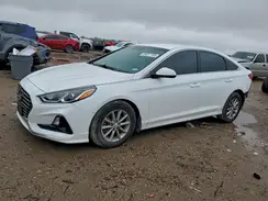 5NPE24AFXKH804385 2019 HYUNDAI SONATA