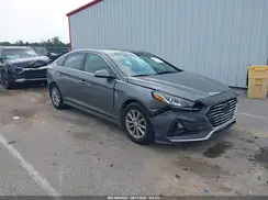 5NPE24AFXKH805049 2019 HYUNDAI SONATA