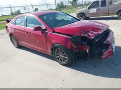5NPE24AFXKH806119 2019 HYUNDAI SONATA