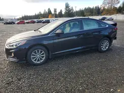 5NPE24AFXKH814205 2019 HYUNDAI SONATA