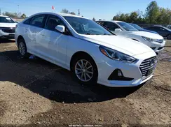 5NPE24AFXKH818786 2019 HYUNDAI SONATA