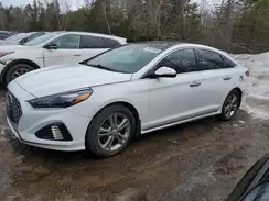 5NPE34AB0KH742179 2019 HYUNDAI SONATA
