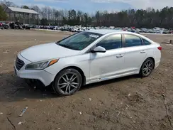 5NPE34AB1HH442918 2017 HYUNDAI SONATA