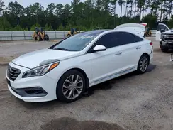 5NPE34AB1HH462098 2017 HYUNDAI SONATA