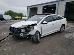 5NPE34AB1HH503524 2017 HYUNDAI SONATA