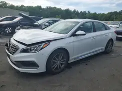 5NPE34AB1HH513891 2017 HYUNDAI SONATA