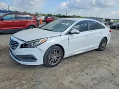 5NPE34AB1HH541299 2017 HYUNDAI SONATA