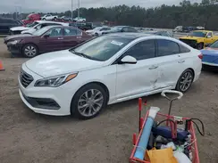 5NPE34AB2HH496549 2017 HYUNDAI SONATA