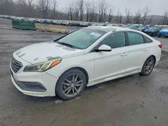 5NPE34AB2HH499662 2017 HYUNDAI SONATA