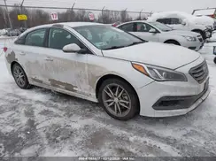 5NPE34AB2HH516900 2017 HYUNDAI SONATA